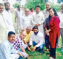ग्रीनमैन प्रो. दलजीत ने रौपा बरगद का पौधा
