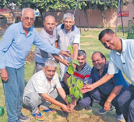 सेक्टर-6 में मां के नाम लगाया पेड़