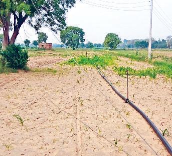 एक माह से खेतों में पड़े हैं बिजली के टूटे हुए तार