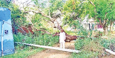 मध्यरात्रि कनीना में 61 एमएम बारिश