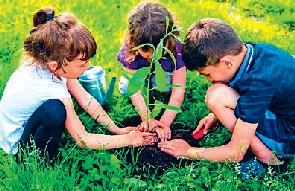 हमारा पर्यावरण क्या था, क्या हो गया कैसे हो संरक्षित