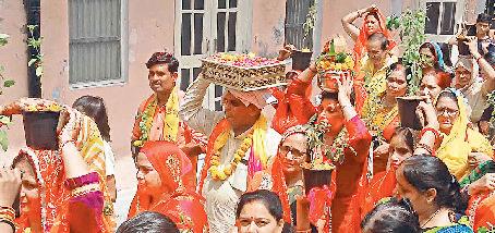 तुलसी यात्रा से प्रारंभ हुआ श्रीमद्भागवत कथा महोत्सव
