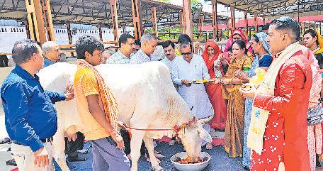 असहाय सेवा संस्थान ने लगाई गोसवामणि