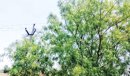 कुलताजपुर रोड पर बिजली लाइन बन रही खतरा