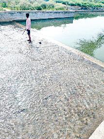 पर्यटन स्थल के रूप में विकसित होगा देवनगर का बांध, मिनी झील बनाने की योजना