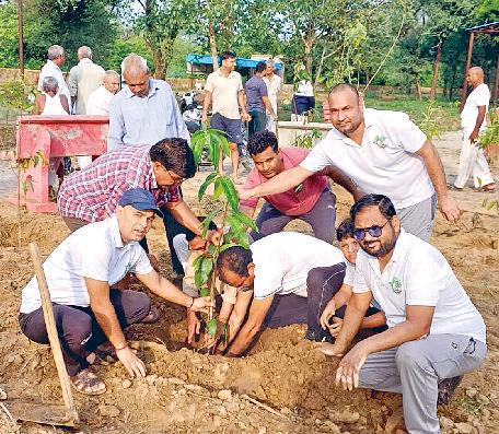 हरित वसुंधरा आधार समिति ने नूनी शेखपुरा स्थित श्मशान आश्रम में किया पौधरोपण