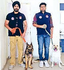 स्निफर डॉग 'जैक' और 'रैम्बो' की सहायता ने पुलिस ने लाखों का नशा पकड़ा