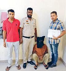 अवैध पिस्तौल सहित एक आरोपी को दबोचा