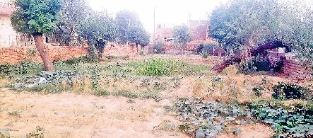 मॉडल टाउन पार्क पर कब्जा कर लोगों ने लगा ली सब्जियां, कूड़े के लगे ढेर