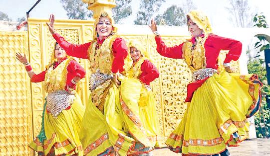 संस्कृति के संवर्धन में लोक कलाओं की खास भूमिका : सोनिया