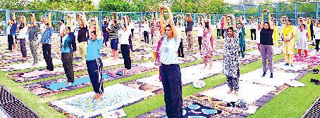 शारीरिक शिक्षकों ने किया योग प्रोटोकॉल का अभ्यास