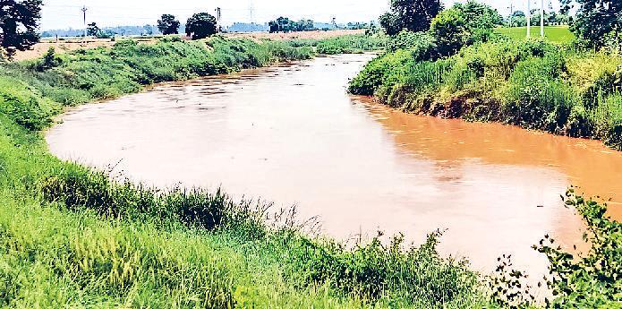 पहाड़ों में बारिश आने से लगातार बढ़ रहा घग्गर नदी का जलस्तर, प्रशासन अलर्ट