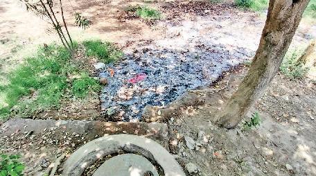 नालों की सफाई के टेंडर देरी से होने पर इस बार भी शहर में जलभराव करेगा परेशान