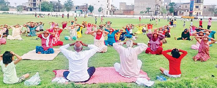 लोगों को सूर्य नमस्कार, ताड़ासन व वृक्षासन सहित अनेक आसनों का अभ्यास करवाया