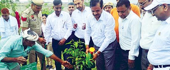 विश्व पर्यावरण दिवस पर पौधरोपण की धूम