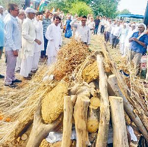 आजाद हिंद फौज के सिपाही स्वतंत्रता सेनानी मंगल सिंह का निधन, राजकीय सम्मान से दी विदाई
