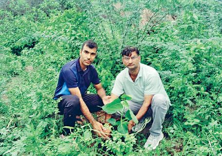 एक पेड़ मां के नाम मुहिम के तहत गांव में लगाए पौधे