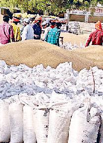 गेहूं खरीद प्रक्रिया पूरी, लक्ष्य से 8 हजार मीट्रिक टन कम हुई परचेज