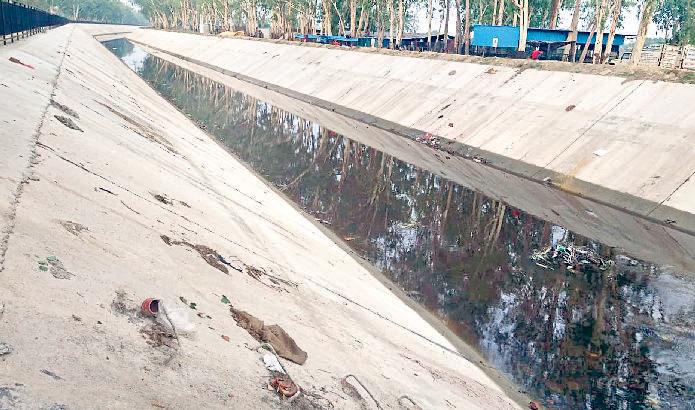 नहरी पानी का टोटा, रोहतक समेत 5 जिलों में 20% भी नहीं हुई खरीफ की बिजाई