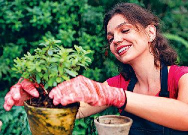 प्लास्टिक से मिले मुक्ति हरा-भरा हो हमारा पर्यावरण