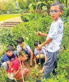 ग्रीन वूड सिटी में बच्चों ने किया पोधरोपण