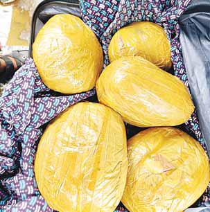उड़ीसा से गांजे की खेप लेकर आए 2 आरोपी पुलिस के हाथ लगे
