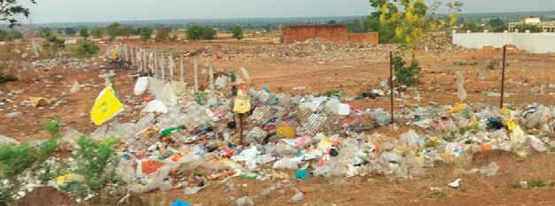 मिश्रित प्लांटेशन में लगा कचरे का ढेर