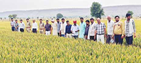 जनपद सीईओ ने कोरता ग्राम में लगाई ग्रीष्मकालीन धान की फसल