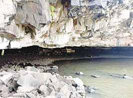 देवनाला जल प्रपातः प्राकृतिक सौंदर्य और आध्यात्मिक आस्था का संगम
