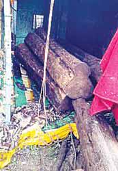 बंजारी के पास सागौन से भरी पिकअप पलटी, 4 तस्कर जंगल में भागे