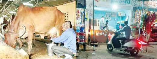 दूध में सफेदी के अलावा रसायनिक तत्वों की मिलावट, नहीं भरे जा रहे सैंपल, प्रशासन मौन