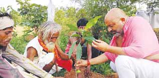 विश्व पर्यावरण दिवस के अवसर पर कलेक्टर ने किया पौधारोपण