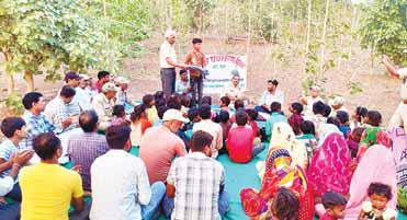 जीवित रहने के लिए बचाना होगा जंगल, नदी और पहाड़