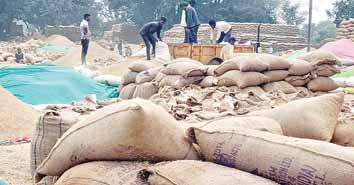 जिले के किसानों को अब तक हुआ 361 करोड़ रूपये का भुगतान