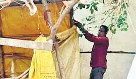 नारायण तालाब मुक्तिधाम के सेवादार पर वसूली और अनैतिक कार्य में लिप्त होने का आरोप, प्रशासन ने हटाया