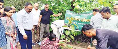 जिला पंचायत सीईओ ने सर्किट हाउस में अधिकारियों के साथ किया पौधारोपण