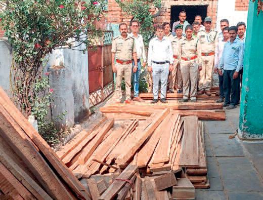 वन विभाग ने पकड़ी 50 हजार की इमारती लकड़ी