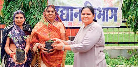 उद्यानिकी विभाग ने 500 पौधों का किया निःशुल्क वितरण