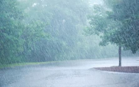 India to see above-normal cumulative rainfall this monsoon, El Nino conditions unlikely: IMD