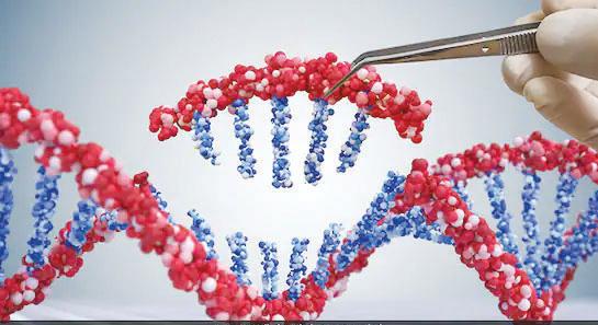Preliminary genomic analysis of 10,000 Indians expected to kick-start precision medicine in India