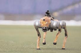 Champak the magazine and Champak the robotic dog: HC issues notice to BCCI on publisher’s plea
