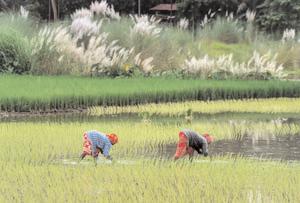 Farm and rural workers get respite as inflation burden eases further in March