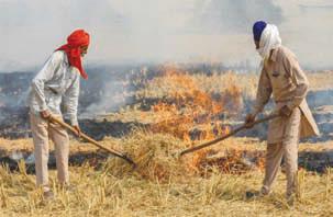 Punjab, Haryana, UP asked for 'Parali Protection Force' to end stubble burning