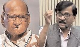 Don’t bring local level politics into India’s global outreach on terror: Pawar tells Raut