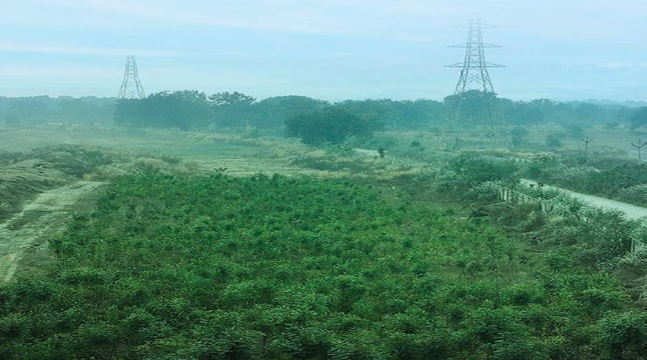 On Biodiversity Day, Vedanta Aluminium launches new initiatives to protect wildlife and restore habitats