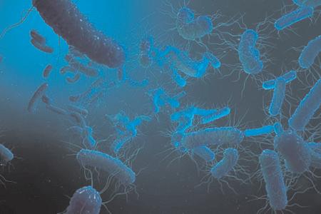 Dangerous antibiotic-resistant bacteria discovered in Red Sea, Mediterranean