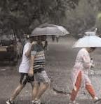 Very light to light rain, gusty winds hit parts of south Delhi