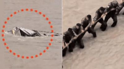 Odisha BJP leader, three kin remain missing after Sikkim car accident, four others return home