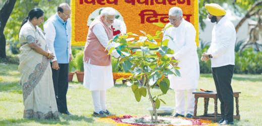 On World Environment Day, PM Modi launches reforestation effort to revive Aravalli mountain range