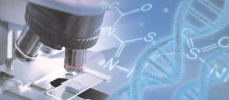 Alzheimer's gene therapy shows promise to prevent brain damage